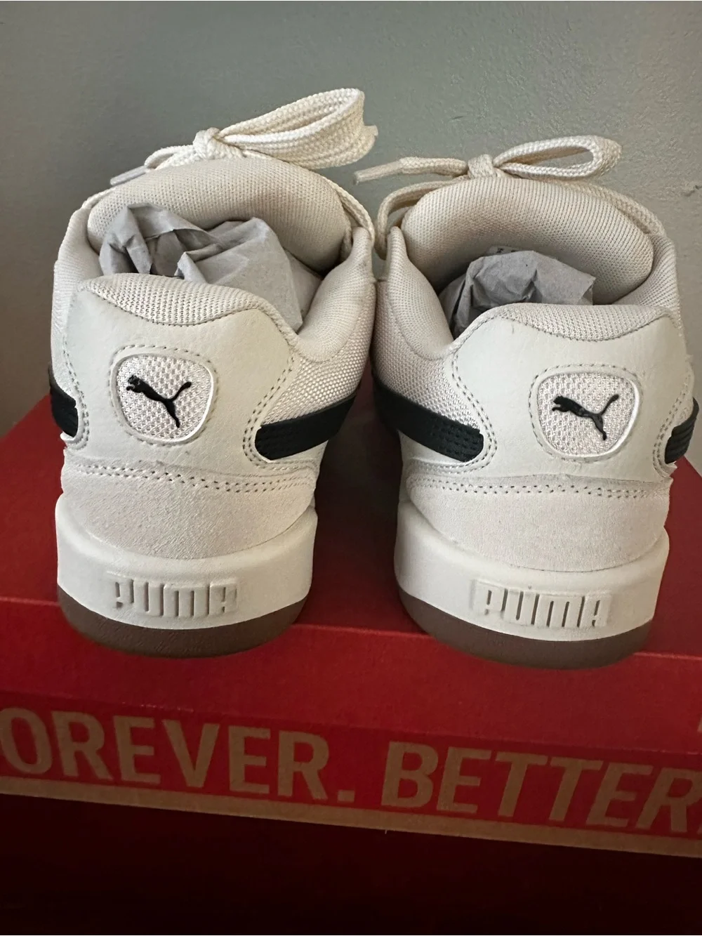 PUMA Park Lifestyle SK8 Unisex Sneakers Alpine Snow  Men’s 9 / Women’s 10.5
